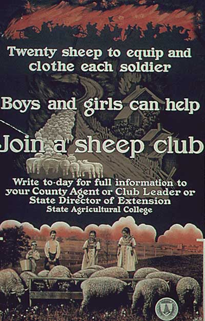 Propaganda Poster from World War I - Join a Sheep Club